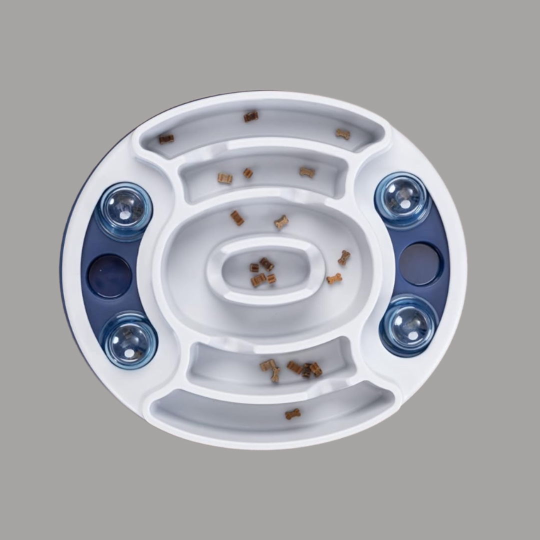 Beginner Dog Puzzle Slow Feeder