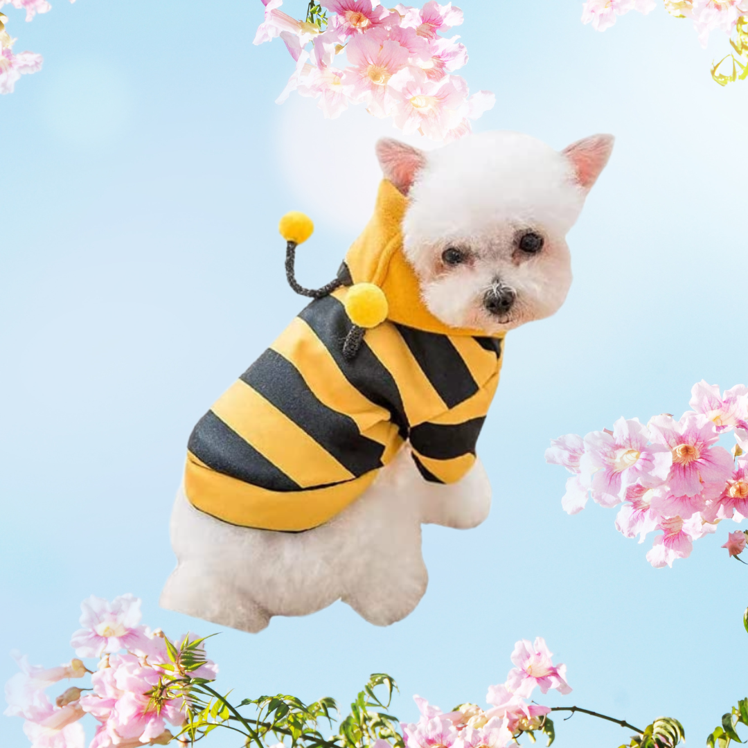 Pet Bee Hoodie Costume