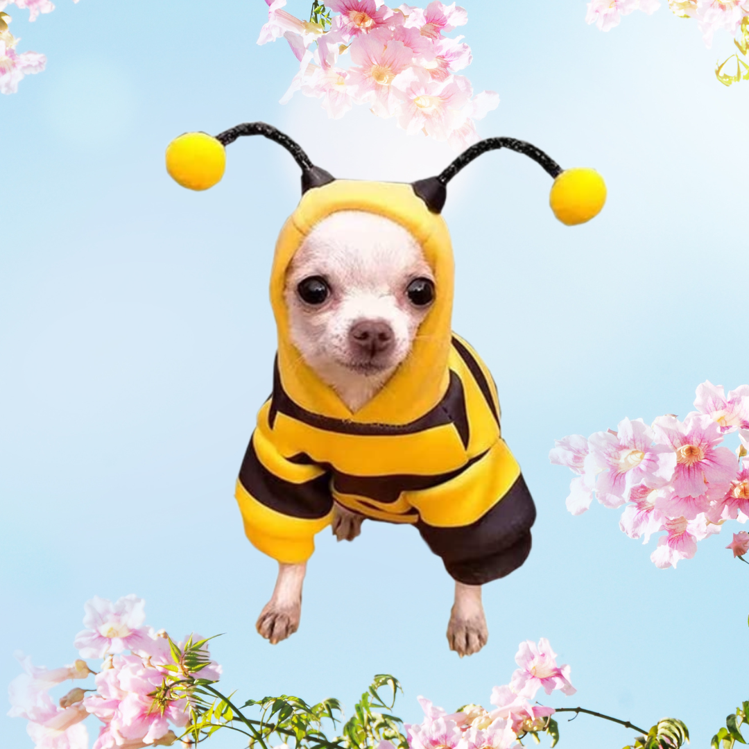Pet Bee Hoodie Costume