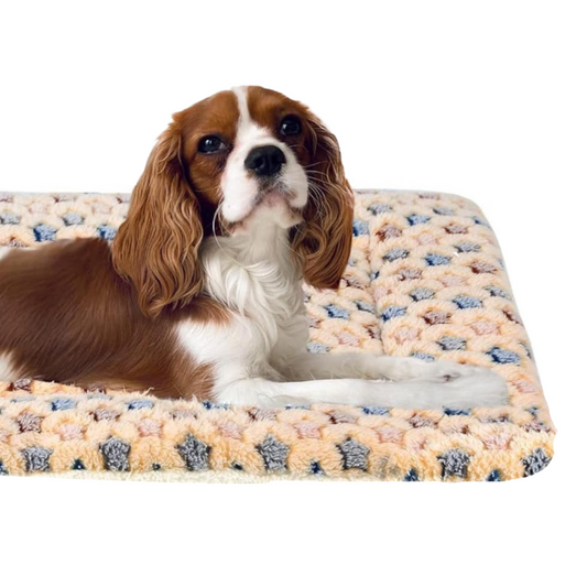 Ultra Soft Washable Dog Crate Pad