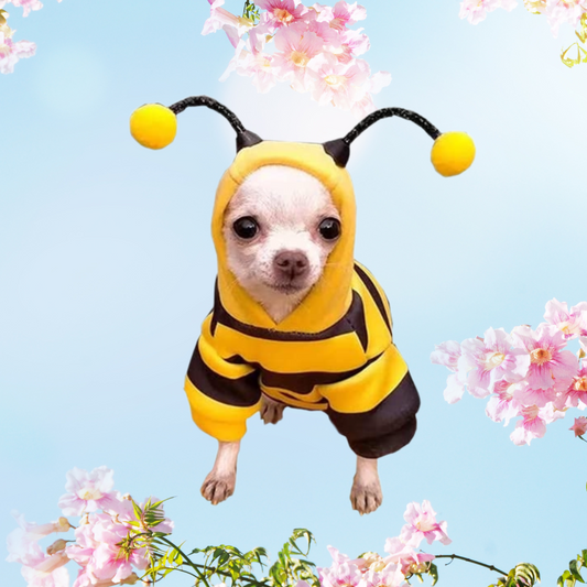 Pet Bee Hoodie Costume