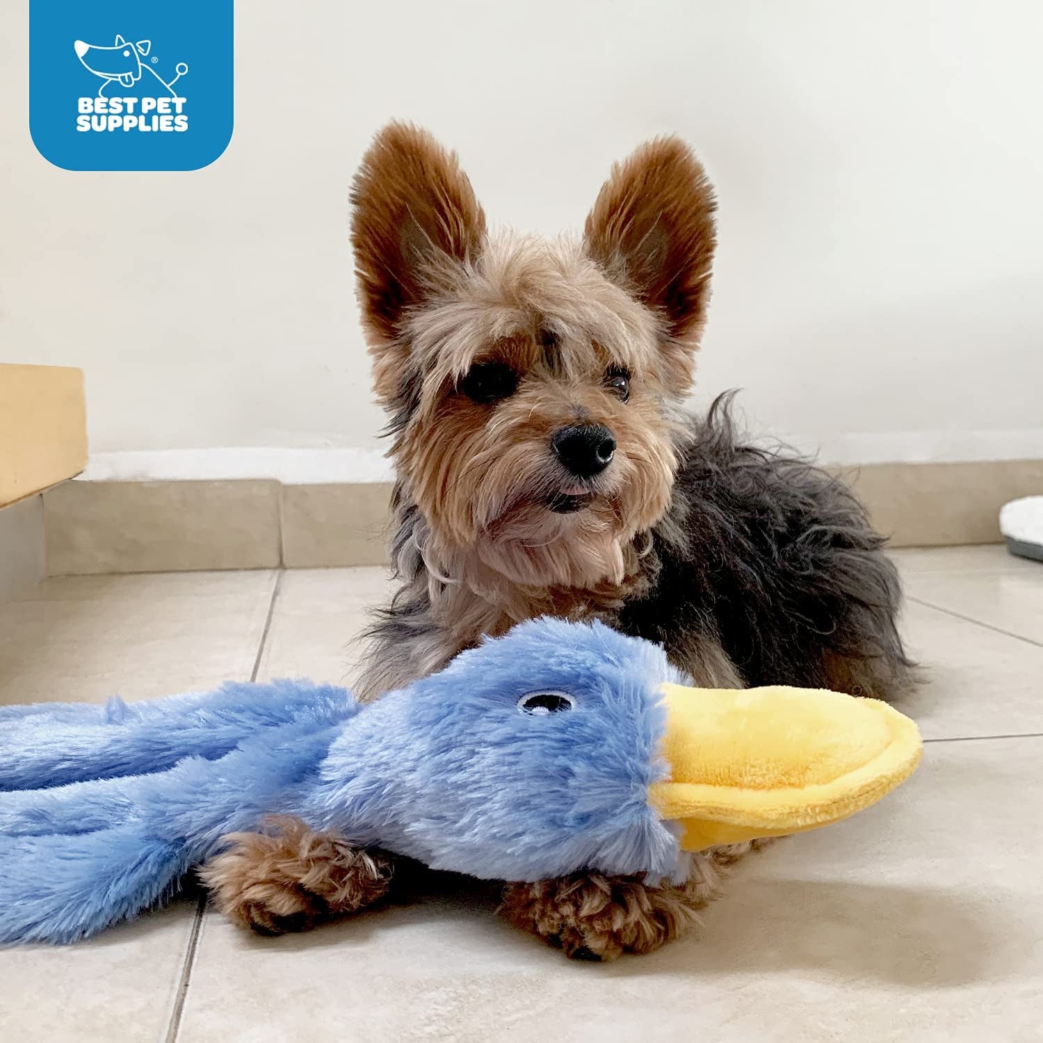 Crinkle Dog Toy for Small, Medium, and Large Breeds, Cute No Stuffing Duck with Soft Squeaker, Fun for Indoor Puppies and Senior Pups, Plush No Mess Chew and Play - Light Pink
